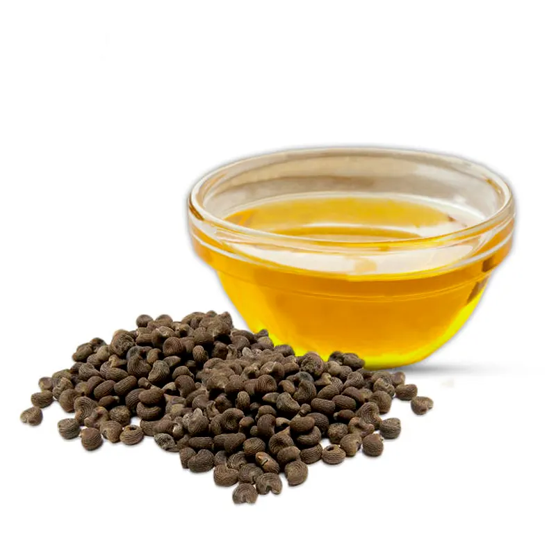 Excellent Quality Ambrette Seed Oil Hot Sale Factory Supply OBM Essential Oil From Bulk Ambrette Oil Manufacturer