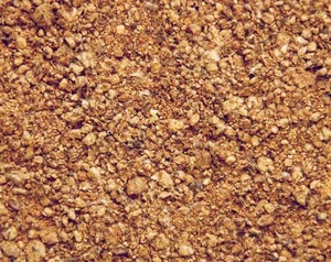 Farine de graines de coton en gros pour l'alimentation animale - Product Image 1