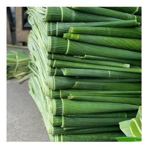 ใบกล้วยธรรมชาติผลิตจากเวียดนามส่งมอบใบที่เป็นมิตรต่อสิ่งแวดล้อมที่สดใหม่สำหรับห่ออาหารและการนำเสนอการทำอาหาร - Product Image 3