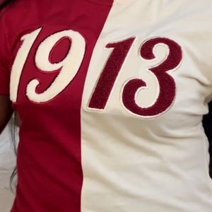 Mezza metà 1913 DST ciniglia ricamata T-Shirt in cotone Premium abito da confraternita Delta abbigliamento greco marrone marrone neutro due colori T-Shirt - Product Image 5