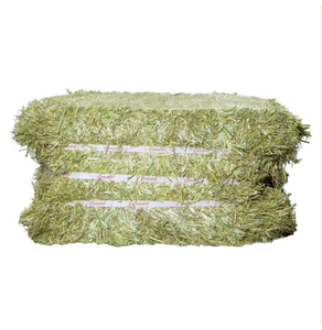 Alfafa Hay Animal Feeding Stuff Alfalfa, heno/pellets de heno de alfalfa Timothy Hay/ Alfafa en fardos Best - Product Image 1