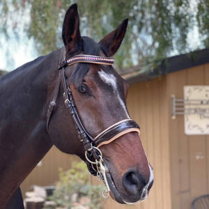 Florence Double Bridle GLITTER BRIDLE SOFTY MUCHOS COLORES OPCIONES Genuino Marrón oscuro Personalización - Product Image 6