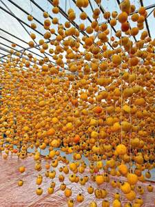 ลูกพลับแห้งเวียดนามเกรดพรีเมียม รสหวานธรรมชาติ สำหรับการสั่งซื้อจำนวนมาก - Product Image 4