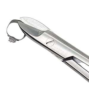 Tijeras Beebe Crown TC con Mango Dorado, Tijeras Quirúrgicas de Carburo de Tungsteno y Acero Inoxidable, Instrumentos Orales de Surgiright Instrument - Product Image 2