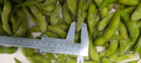 Vente en gros en vrac de soja surgelé IQF, edamame vert, haricots verts jeunes, Akina