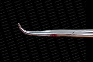 Vaslcare-Abrazadera médica para amígdalas, fórceps quirúrgicos hemostáticos curvos grandes, instrumento quirúrgico ENT de acero inoxidable - Product Image 2