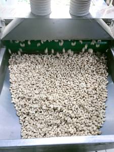 Vente chaude WW320 Noix de cajou brutes Humidité cassée 5% OTIS COMPANY Global Standard Vietnam Noix de cajou Usine - Product Image 3