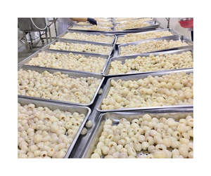 ลิ้นจี่แช่แข็งเนื้อขาวฉ่ำสำหรับผู้ซื้อขายส่ง - Product Image 4