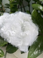 Grootste Fabrikant 100% Huisdier Vlamvertragende Polyester Stapelvezel 6d 15d Vaste Stof Voor Vulling Materiaal Opvulvel