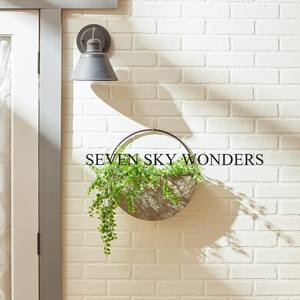 Trending Metal Wall <b>Hanging</b> Oval <b>Planter</b> With Handle Warm Grey Pot For Home Decoration <b>Indoor</b> Garden Decor Wall Mounted <b>Planter</b> - Product Image 3