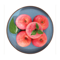 Verse biologische hoogwaardige rode Fuji appels voor groothandel