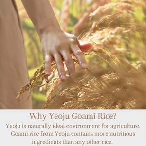 I'm From Rice Toner 150ml Soin de la peau coréen végétalien K-Beauty Produit en gros 5fl.oz. - Product Image 6