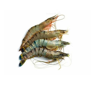 Crevettes tigrées entières de qualité supérieure, fournies aux acheteurs en gros avec livraison rapide - Product Image 1