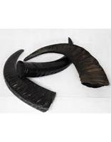 Pointes rondes en corne de buffle de bonne qualité, qualité naturelle de pointes rondes en corne de buffle pour cadeaux et artisanat