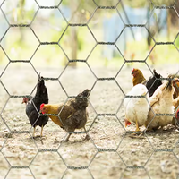 Grillage hexagonal en fil de fer galvanisé durable pour poulailler et cage, idéal pour élevage de volailles et bacs à poissons