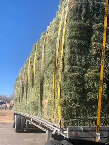 Pacas de Heno de Alfalfa Premium, Pellets de Alta Proteína (16-22%), Curados al Sol, Alimento para Animales, Ganado, Caballos, Cerdos, Peces - Product Image 6