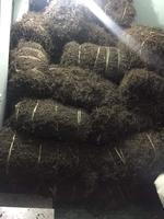 BON CHOIX FEUILLES DE GELÉE D'HERBE NOIRE // PRODUIT DE HAUTE QUALITÉ FEUILLES DE GELÉE D'HERBE ASIATIQUE SÉCHÉES Mme Lily