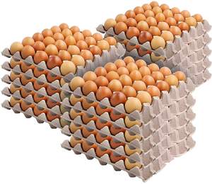 Huevos Frescos de Gallina Marrón de Alta Calidad Estándar de Exportación a Granel, Huevos Fértiles para Incubar de Vietnam con 120 Días de Vida Útil - Product Image 1