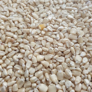 Maíz Amarillo y Blanco No Glutinoso de Origen TZ para Alimentación Animal - Maíz Seco a Granel para Consumo Humano, Descuentos por Volumen - Product Image 6