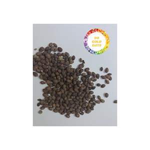 GRAINES DE PAPAYE SÉCHÉES PROPRES ET NATURELLES DU VIETNAM POUR LA SANTÉ BOISSON AUX HERBES ET LE BIEN-ÊTRE DE HAUTE QUALITÉ - Product Image 6