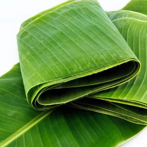 ขายส่งใบกล้วยธรรมชาติสําหรับบรรจุปรุงอาหารจากตลาดเวียดนามในราคาต่ํา - Product Image 1