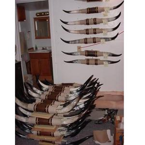 Long Horn Home Decor pour le style ranch et cabine - Product Image 6