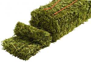 Heno de Timothy con Logotipo Personalizado para Mascotas Pequeñas - Heno de Pasto Totalmente Natural para Conejos, Cobayas, Chinchillas - Alto Contenido de Fibra para la Salud Digestiva - Product Image 4