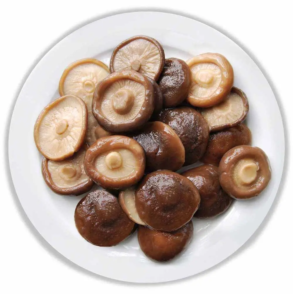 Venta al por mayor de hongos shiitake naturales vietnamitas de alta calidad y precio razonable/Neal