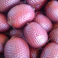 Puur gevriesdroogd Aguaje poeder, voedingskwaliteit, antioxidantrijk, verrijkt met anthocyanen, wild uit Peru, HACCP gecertificeerd, fijn poeder in zak.