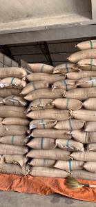 Granos de café verde Robusta de Vietnam de alta calidad de grado premium AA 90% madurez marca Vilaconic Jenny Doan - Product Image 4