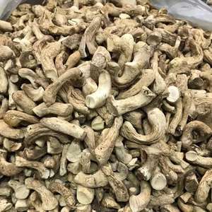 TIGES SHIITAKE BIOLOGIQUES PREMIUM ORIGINE VIETNAM: UNE COLLATION NUTRITIVE ET À LA SAVEUR - Product Image 3