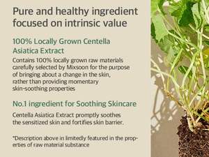 Mixsoon soondy เอสเซนส์ Centella Asiatica ขนาด100มล. สกินแคร์เกาหลีฉลากส่วนตัว - Product Image 5