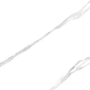 Carrelage imprimé au sol de style européen, motif magnifique, fabrication en Inde pour les grandes villas de luxe. - Product Image 3