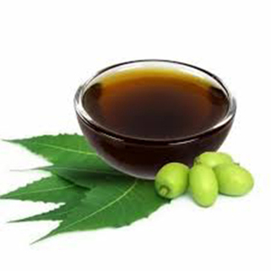 100% Pure Organic Neem Oil Extrait de graines pressées à froid Booster du système immunitaire Anti-oxydant sauvage cultivé emballé dans une bouteille - Product Image 6