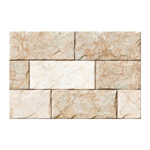 Carreaux muraux numériques à finition brillante de haute qualité avec surface sans danger pour les rayures et motifs audacieux pour les commerces et les résidences d'Inde - Product Image 4