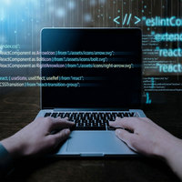 后端开发服务 PHP Python 网络应用 数据库连接支持和集成解决方案