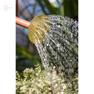 Arrosoir de jardin en métal de haute qualité, superbe look chic Irrigation intérieure et extérieure pour jardin domestique en top vente - Product Image 3