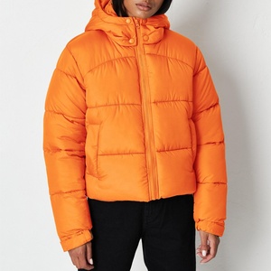 Veste d'hiver courte tendance pour femmes, chaude, coupe-vent, matelassée, veste d'extérieur, broderie, capuche, écologique, respirante - Product Image 2