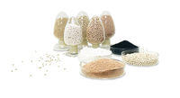 Perles/Granulés de tamis moléculaire à adsorption de haute pureté 98% (série 3A, 4A, 5A, 13X, Li-LSX) pour l'enrichissement en oxygène et le séchage
