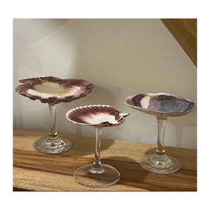 Lunettes SeaShell construites avec une incrustation de coquille brillante et une surface en résine idéale pour la présentation sur table ou la boîte cadeau Vietnam - Product Image 1