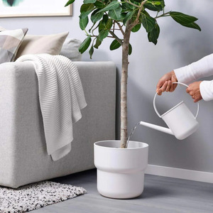 Un mejor amigo del jardín: regaderas prácticas y elegantes que vierten la perfección Regaderas elegantes para cada hogar - Product Image 3