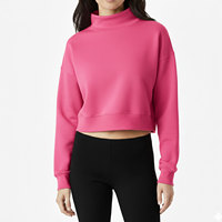Nueva Llegada: Sudadera Personalizada para Mujer, Cuello Alto, Estilo Boxy, Delta Lambda Phi, Tejido de Poliéster/Algodón Grueso, Estampado Frontal, para Invierno