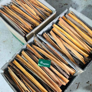 Cannelle de Cassia séparée séchée naturelle du Vietnam / Photos réelles du produit / Récolte la plus récente - Product Image 1