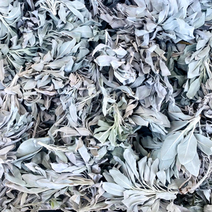 Ramillete de Salvia Blanca de California madera de Alta calidad uso relioso Venta Al por นายกเทศมนตรี Salvia esclarea Nueva privera - Product Image 1