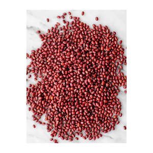 Frijoles Adzuki Cuidadosamente Seleccionados Disponibles para Suministro Comercial Premium - Product Image 3