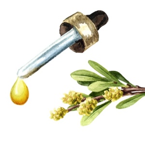 น้ำมันหอมระเหยสำหรับดูแลผิวสกัดจากใบไมร์เทิล - Product Image 1