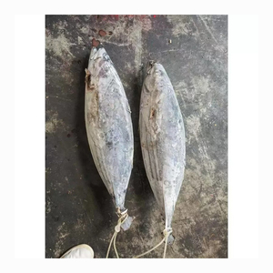 Frozen skipjack wholesale <b>bulk</b> supply discount price premium quality seafood - Product Image 6