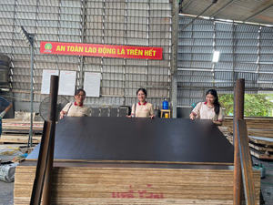 Sistema de Encofrado de Hormigón de 18 mm, Madera Contrachapada Recubierta con Película, Madera Contrachapada para Encofrado con Servicio Posventa de Devolución y Reemplazo - Product Image 3