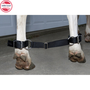 Correas ajustables para hobbles de caballos - Product Image 2