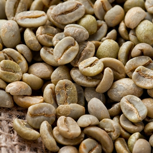 Grains de café vert Robusta du Vietnam Taille 18 Grains de café du Yunnan Grains de café de spécialité Export en vrac Fournisseur de café à corps corsé - Product Image 6